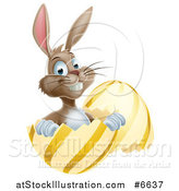 Vector Illustration of a Happy Brown Easter Bunny Sitting and Pointing in a Gold and Yellow Egg Shell by AtStockIllustration