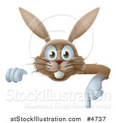 Vector Illustration of a Happy Brown Rabbit Pointing down at a Sign by AtStockIllustration