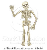 Vector Illustration of a Happy Cartoon Skeleton Character Waving by AtStockIllustration