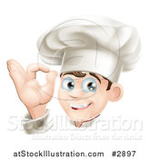 Vector Illustration of a Happy Cauasian Male Chef Gesturing Ok by AtStockIllustration