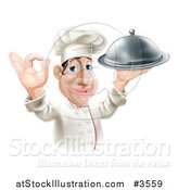 Vector Illustration of a Happy Chef Gesturing Okay and Holding a Platter by AtStockIllustration