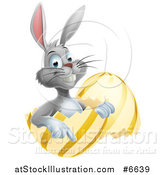 Vector Illustration of a Happy Gray Easter Bunny Sitting and Pointing in a Gold and Yellow Egg Shell by AtStockIllustration