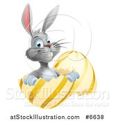Vector Illustration of a Happy Gray Easter Bunny Sitting in a Gold and Yellow Egg Shell by AtStockIllustration