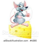 Vector Illustration of a Happy Gray Mouse Holding a Thumb up on a Block of Cheese by AtStockIllustration