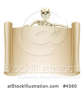 Vector Illustration of a Happy Human Skeleton Pointing down to a Blank Scroll Sign by AtStockIllustration