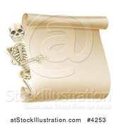 Vector Illustration of a Happy Human Skeleton Pointing to a Blank Scroll Sign by AtStockIllustration