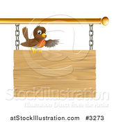 Vector Illustration of a Happy Robin Bird Presenting on a Wood Sign by AtStockIllustration