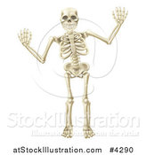 Vector Illustration of a Happy Skeleton Waving with Both Hands by AtStockIllustration