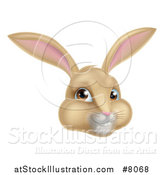 Vector Illustration of a Happy Tan Easter Bunny Rabbit Face by AtStockIllustration