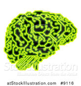 Vector Illustration of a Human Brain with Electrical Circuits in Neon Green by AtStockIllustration
