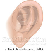 Vector Illustration of a Human Ear by AtStockIllustration