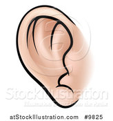 Vector Illustration of a Human Ear by AtStockIllustration