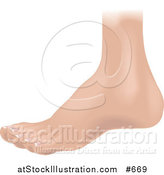 Vector Illustration of a Human Foot by AtStockIllustration