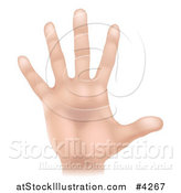 Vector Illustration of a Human Hand Holding up Five Fingers by AtStockIllustration