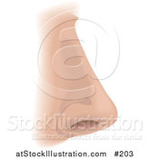 Vector Illustration of a Human Nose and Nostril by AtStockIllustration