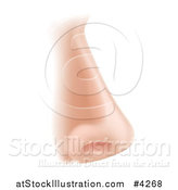 Vector Illustration of a Human Nose in Profile by AtStockIllustration