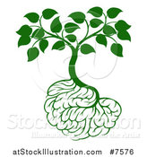 Vector Illustration of a Leafy Green Tree with Brain Roots by AtStockIllustration