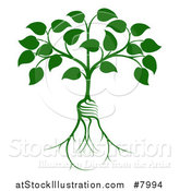 Vector Illustration of a Leafy Heart Shaped Tree with Light Bulb Shaped Roots by AtStockIllustration