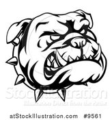 Vector Illustration of a Lineart Angry Bulldog Face and Spiked Collar by AtStockIllustration