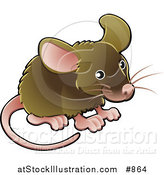 Vector Illustration of a Little Brown Pet Mouse with a Pink Nose, Ears, Feet and Tail by AtStockIllustration