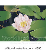 Vector Illustration of a Lotus Flower and Lily Pads by AtStockIllustration