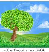 Vector Illustration of a Lush Tree in a Beautiful Hilly Country Landscape at Sunrise by AtStockIllustration