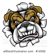 Vector Illustration of a Mad Bulldog Breaking Through a Wall by AtStockIllustration