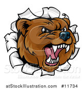 Vector Illustration of a Mad Grizzly Bear Mascot Head Breaking Through a Wall by AtStockIllustration