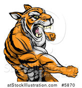 Vector Illustration of a Mad Muscular Tiger Man Punching by AtStockIllustration