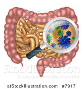 Vector Illustration of a Magnifying Glass Zooming in on Gut Flora Bacteria or Viruses in the Human Digestive System by AtStockIllustration
