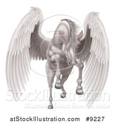 Vector Illustration of a Majestic White Winged Horse Pegasus Flying Forward by AtStockIllustration
