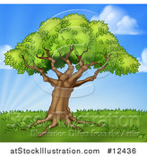 Vector Illustration of a Mature Tree on a Grassy Hill Against a Blue Sky by AtStockIllustration
