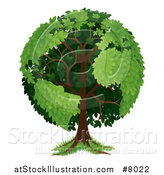 Vector Illustration of a Mature Tree with Planet Earth Shaped Continents by AtStockIllustration