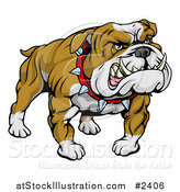 Vector Illustration of a Mean and Muscular Bulldog Growling by AtStockIllustration