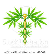 Vector Illustration of a Medical Marijuana Design with a Cannabis Plant Growing on a Gold Caduceus by AtStockIllustration