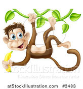 Vector Illustration of a Monkey Hanging from a Vine and Holding a Banana by AtStockIllustration