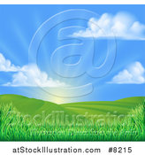 Vector Illustration of a Morning Sunrise over a Green Hilly Landscape with Puffy Clouds and Grasses by AtStockIllustration