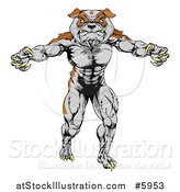 Vector Illustration of a Muscular Bulldog Man Mascot Standing Upright by AtStockIllustration
