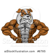 Vector Illustration of a Muscular Tough Bulldog Man Mascot Flexing, from the Waist up by AtStockIllustration