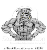 Vector Illustration of a Muscular Tough Gray Bulldog Man Mascot Flexing, from the Waist up by AtStockIllustration