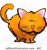 Vector Illustration of a Orange Cat Staring by AtStockIllustration