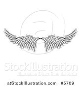 Vector Illustration of a Pair of Black and White Angel or Eagle Wings by AtStockIllustration