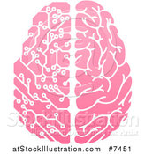 Vector Illustration of a Pink Half Human, Half Artificial Intelligence Circuit Board Brain by AtStockIllustration