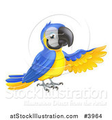 Vector Illustration of a Presenting Blue and Yellow Macaw Parrot by AtStockIllustration