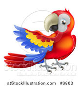 Vector Illustration of a Presenting Scarlet Macaw Parrot by AtStockIllustration