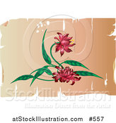 Vector Illustration of a Pretty Red Flowers on an Antique Parchment Background by AtStockIllustration
