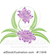 Vector Illustration of a Purple Blooming Flower by AtStockIllustration