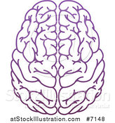 Vector Illustration of a Purple Human Brain by AtStockIllustration