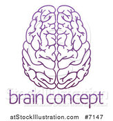 Vector Illustration of a Purple Human Brain over Sample Text by AtStockIllustration