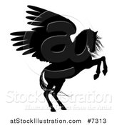 Vector Illustration of a Rearing Winged Pegasus Horse by AtStockIllustration